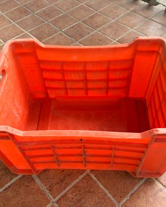Cassette per olive o frutta