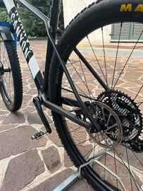 Canyon Exceed custom build