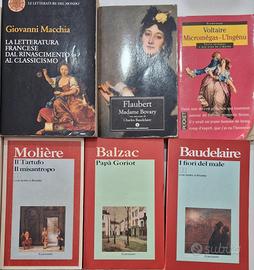 Libri letteratura francese 