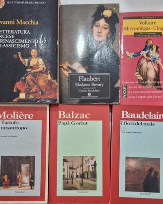 Libri letteratura francese 