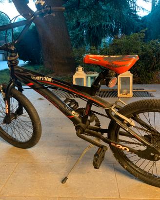 Bmx Lombardo Isernia