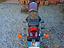 Immagine 3
