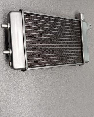 RADIATORE ACQUA SINISTRO APRILIA RSV 1000