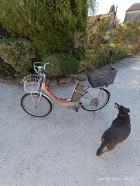 Bicicletta elettrica Armony 