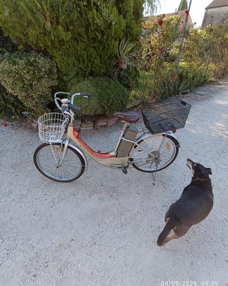 Bicicletta elettrica Armony 