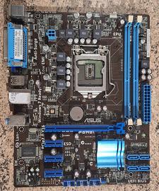 Scheda Madre Asus P8H61-M LX