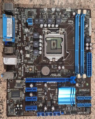 Scheda Madre Asus P8H61-M LX
