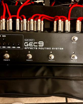 Moen GEC 9 Looper/Switcher + Box