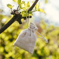 Profuma armadi e cassetti cirmolo / pino cembro