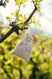 Profuma armadi e cassetti cirmolo / pino cembro