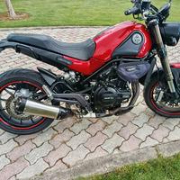 Benelli leoncino 500