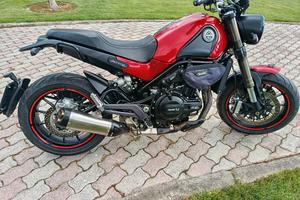 Benelli leoncino 500
