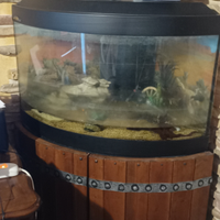 Acquario 180 litri angolare