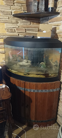 Acquario 180 litri angolare