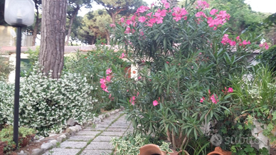 Villetta per vacanze mesi estivi