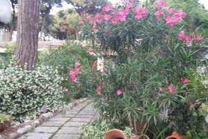 Villetta per vacanze mesi estivi