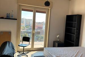 Cittadella /Morgagni