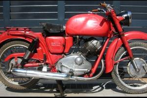 Moto Guzzi Lodola 235cc (ex Polizia Municipale)
