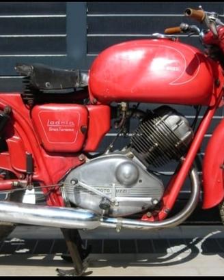 Moto Guzzi Lodola 235cc (ex Polizia Municipale)