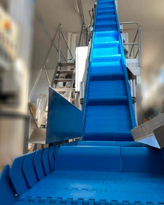 Nastro Elevatore a zeta per prodotti alimentari