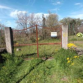 Rif.FF41| terreno agricolo belpasso