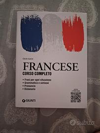 dizionario francese 