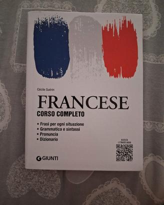 dizionario francese 