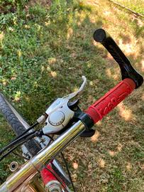 bicicletta mountain bike
