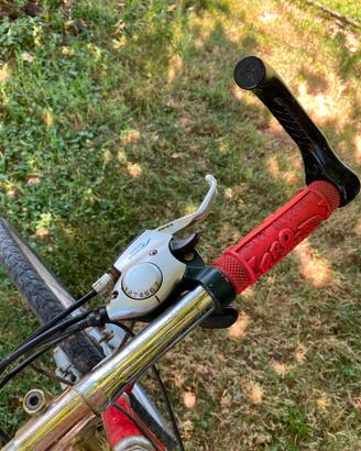 bicicletta mountain bike