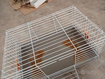Gabbia roditori