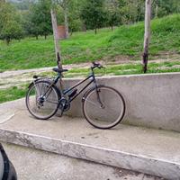 Bicicletta mountainbike