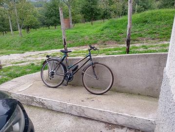 Bicicletta mountainbike