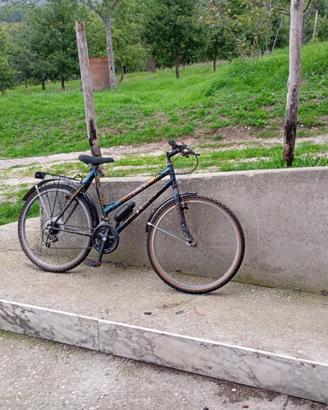 Bicicletta mountainbike