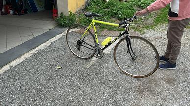 bicicletta