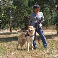 Ciabatta il cucciolo cresciuto in gabbia