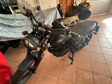 Mash seventy five 125