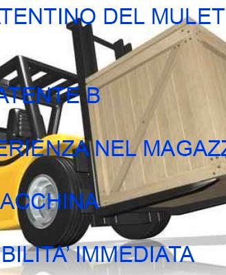 Magazziniere Carrellista Esperto|Patentino Muletto