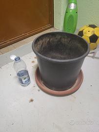Vaso con sottovaso