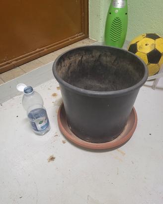 Vaso con sottovaso