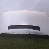 COFANO ANTERIORE FORD Transit Serie 2454107 PGFA/B