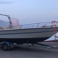 FIART VALIANT MOTORIZZATA MERCURY 115 Hp 4T