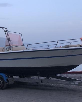 FIART VALIANT MOTORIZZATA MERCURY 115 Hp 4T
