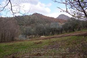 Terreno Agricolo Campagna [A4295014]