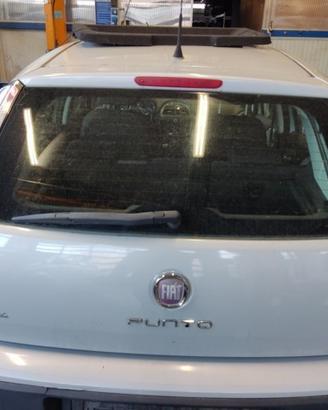 Portellone nudo FIAT GRANDE PUNTO EVO del 2011