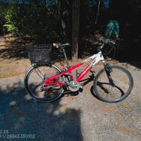 montain bike ragazzo 