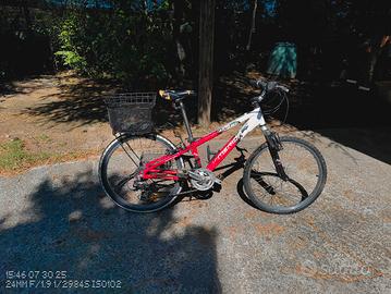 montain bike ragazzo 