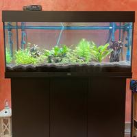 Acquario rio 180L completo e avviato