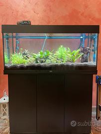 Acquario rio 180L completo e avviato