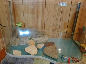 acquario per tartarughe 