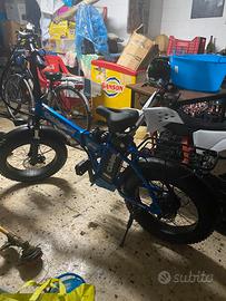 Bici elettrica om bike